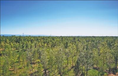 维嘉优配平台 毛乌素沙地深处的绿色接力(美丽中国)